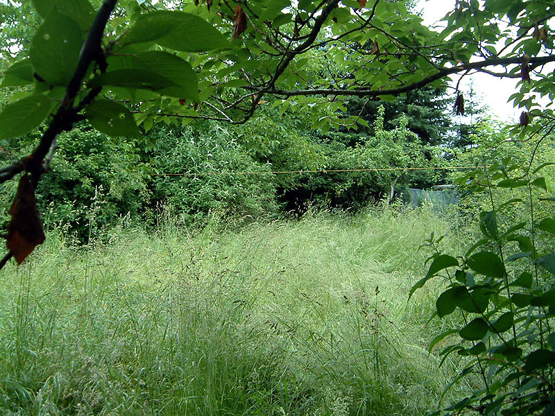 Schritt 3