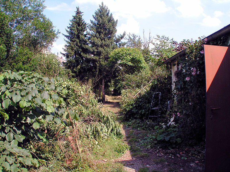 Suchbild